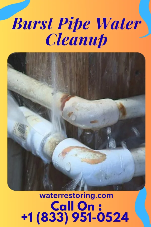 Burst Pipe Water Cleanup in Rochester Institute of Technology, NY