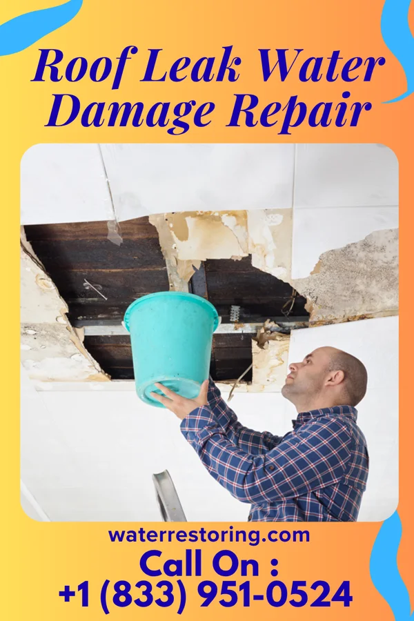 Roof Leak Water Damage Repair in Rochester Institute of Technology, NY