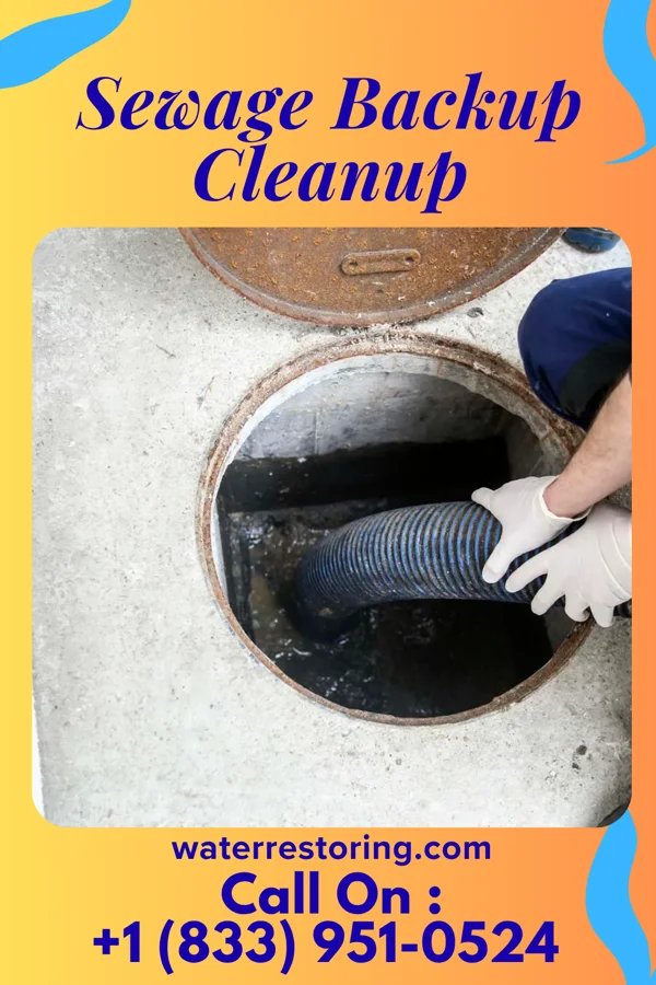 Sewage Backup Cleanup in Rochester Institute of Technology, NY
